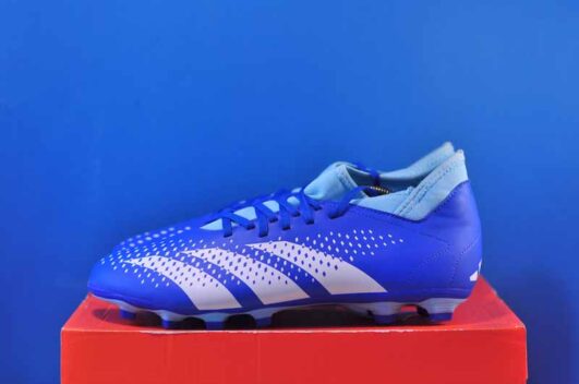 Adidas Predator Accuracy .4 GZ0017