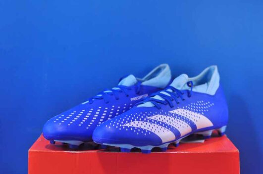 Adidas Predator Accuracy .4 GZ0017