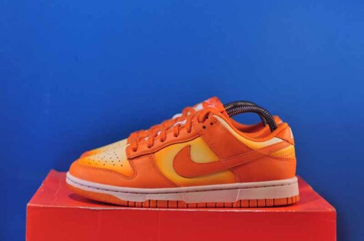 Nike Dunk Low Orange DX2953-800