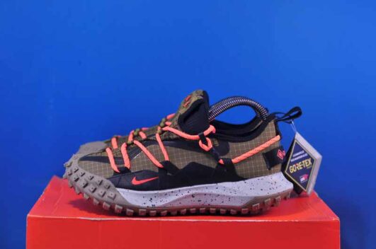 Nike ACG Mountain Fly Low Gore-Tex DD2861-200