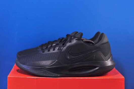 Nike Precision 6 Basketball Black DD9535-001