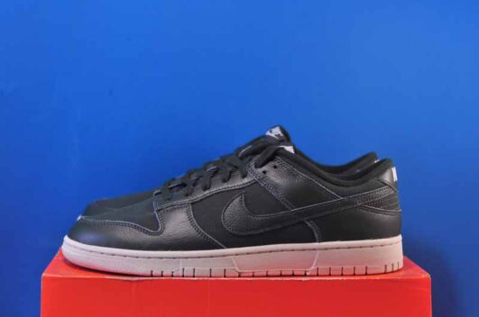 Nike Dunk Low Retro DZ2538-300