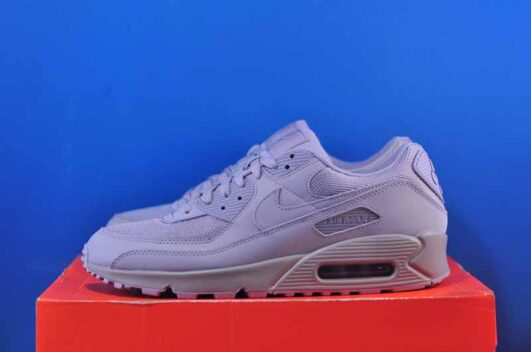 Nike Air Max 90 CN8490-001